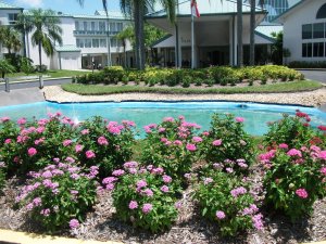 The pond and flowers grace our entrance every day.