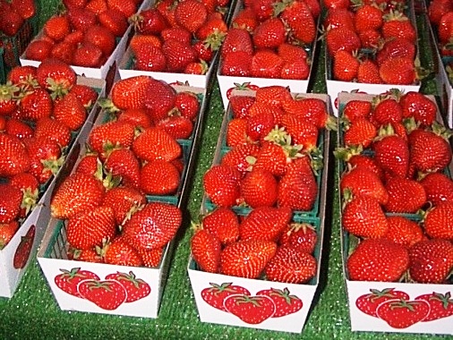 Strawberries, Anyone?