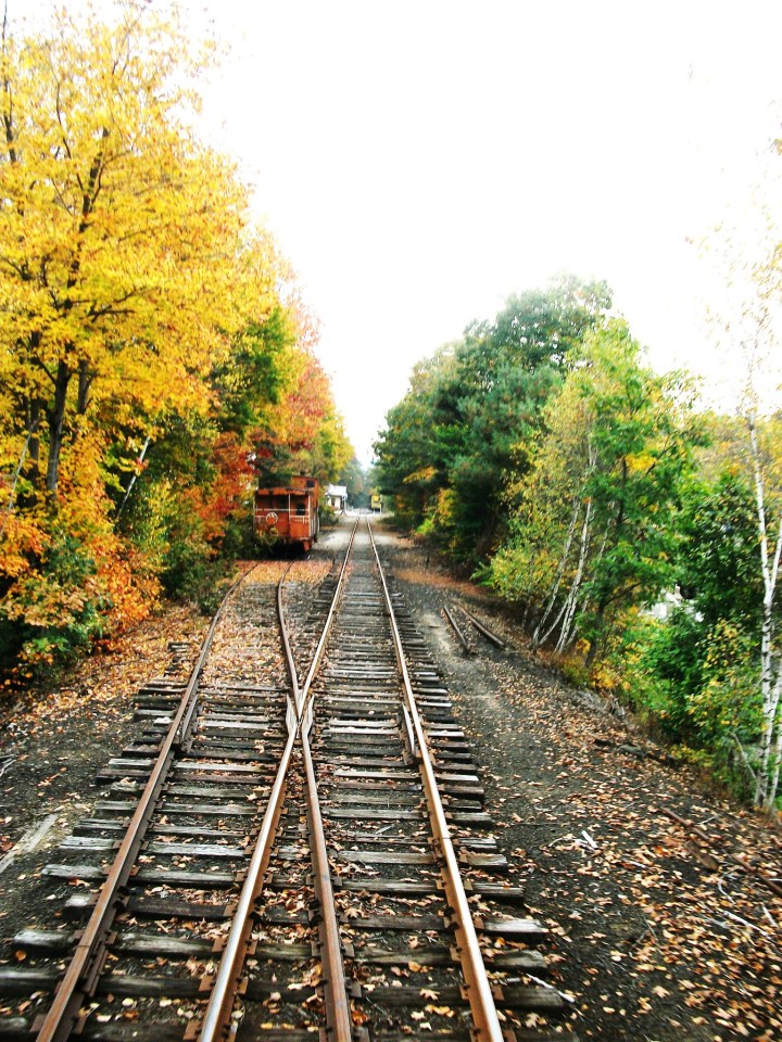 Which Way Will You Choose?