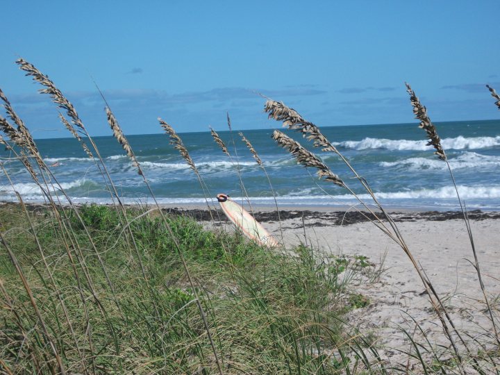 Spring Break, Anyone?